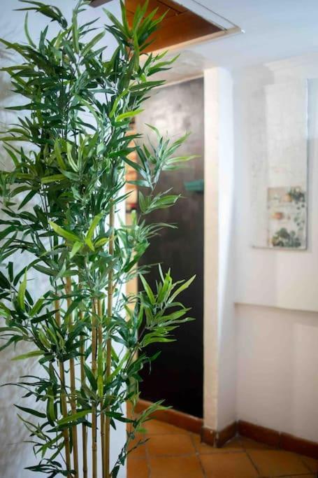 Via Dei Cestari Loft Apartamento Roma Exterior foto